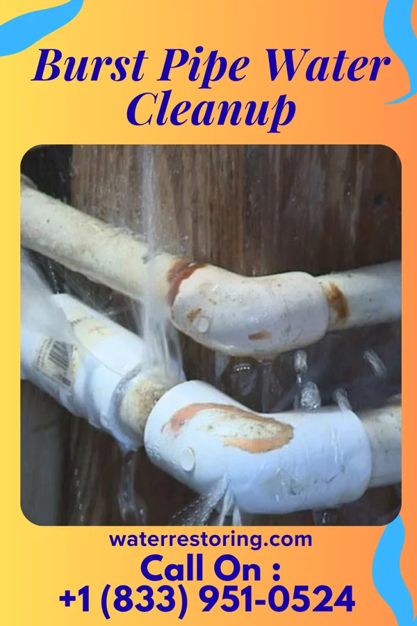 Burst Pipe Water Cleanup in Clay City, KY