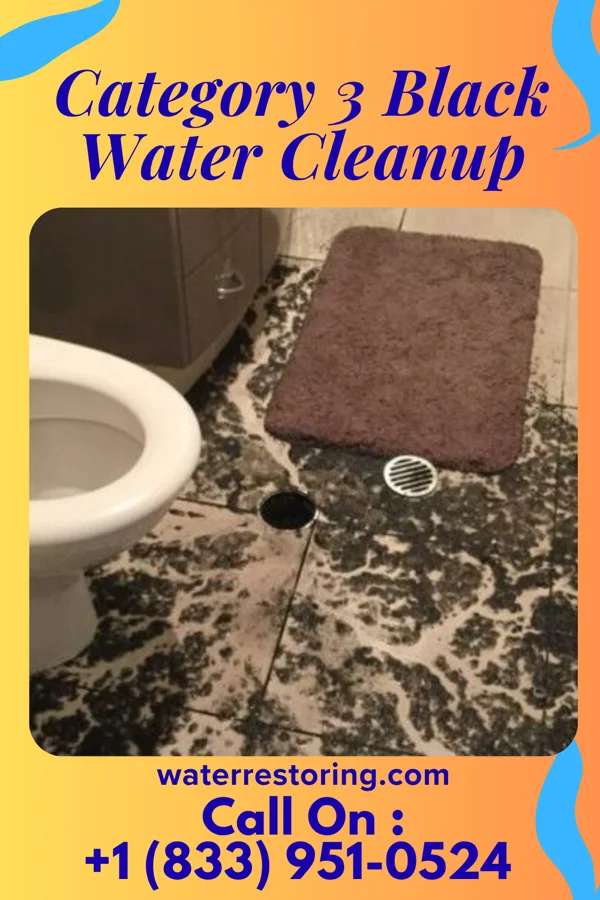 Category 3 Black Water Cleanup in Clay City, KY