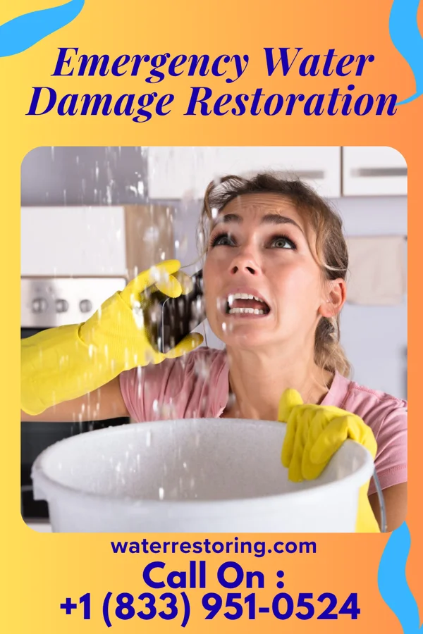 Emergency Water Damage Restoration in Clay City, KY