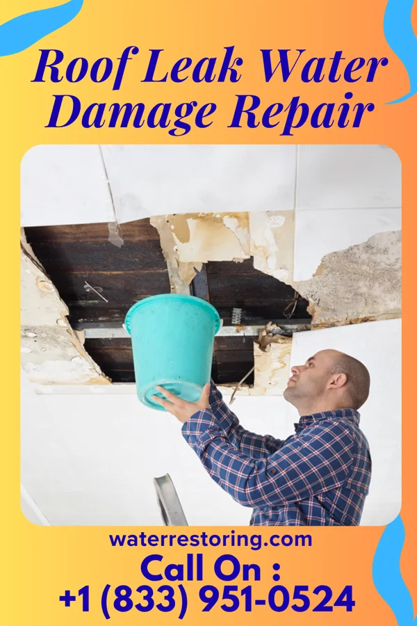 Roof Leak Water Damage Repair in Clay City, KY