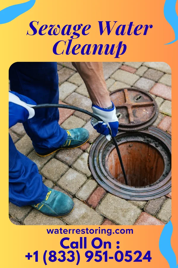 Sewage Water Cleanup in Clay City, KY