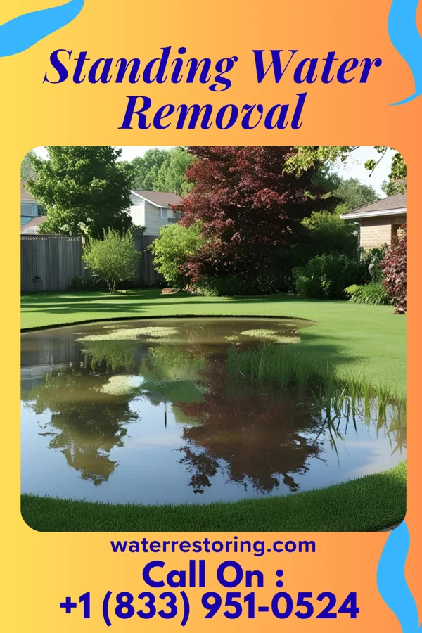 Standing Water Removal in Clay City, KY
